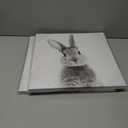 2 x daktenn Bunny Wall Art Lovely Rabbit Posters for Baby Room Easter Artwork Nursery Wall Decor Easter Wall Art Rabbit Pictures Wall Decor Bunny Pictures for Bathroom Bedroom 14x14 Inches