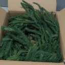 9 FT Real Touch Norfolk Pine Garland Green Artificial Christmas Garland Faux Greenery Garland for Holiday Fireplace Mantle Window Indoor Outdoor Decor, 1 Pcs