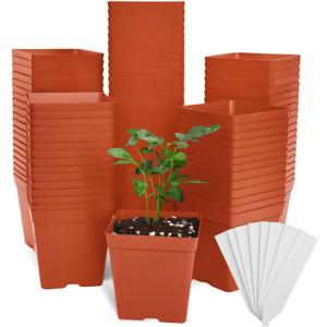 June Fox 100 Pack Red Square Nursery Pots with Drainage Holes 3.3 Inches Flexible Plastic Seedling Pots Square Pots for Plants, Succulent, Flower, with Plant Labels
