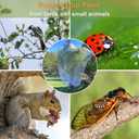 4 Pcs Fruit Tree Netting with Zipper & Drawstring, 4ft x 4ft Insect & Bird Netting for Garden Protection, Ultra-Fine Mesh Garden Netting Pest Barrier, Blueberry Bush Netting Cover