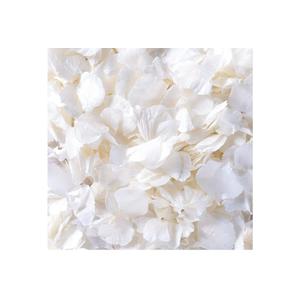 4500Pcs Ivory White Dried Hydrangea Flower Petals - 100% Natural Real Off-White Flower Petals for Wedding Confetti, Flower Girl Basket, Shower Party, DIY Crafts (3.17oz)