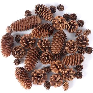JOHOUSE 40PCS Natural Pine Cones Bulk, Pinecones Decorations Pine Cone Ornaments for Crafts Thanksgiving Christmas Wreath Table Bowl Decor, Winter Vase Filler