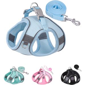 Solmoony Dog Harness for Small Medium Dogs No Pull, Puppy Harness and Leash Set, Puppy Harness, Step in Harness for Small Dogs, mesh Dog Harness. (Blue, M)