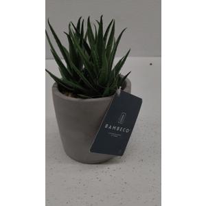 Bambeco Tabletop Bamboo Decoration Plant