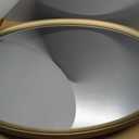 USHOWER Brushed Gold Oval Bathroom Mirror 20x28 Inch