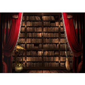 LYWYGG 7x5ft Wizard Magic Bookshelf Backdrop Classical Bookshelf Photography Background Halloween Backdrop cp-696