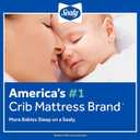 Sealy Baby 2-PACK Fitted Waterproof Infant Crib Mattress Protector Pad and Toddler Bed Cover, Durable and Comfortable Topper, Machine Washable and Dryer Friendly, 52x28- White