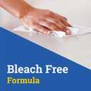 CLO15949CT - Disinfecting Wipes