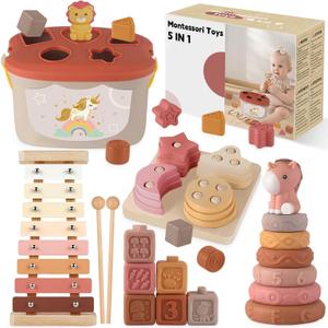 Montessori Toys for 6-12 Months, Baby Toys 6-12-18 Months with Montessori Baby Blocks Toy, Shape Sorting Baby Development Toys for 6+ Month Girls Boys Birthday Chiristmas Gifts (Colorful)