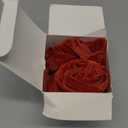 MEEDEE Rust Velvet Ribbon 3 Inch Rust Fringe Ribbons Raw Edge Silk Velvet Ribbon for Wreaths, Flower Bouquet, Photography, Dress Sash, Baby Shower, Wedding Decor (3 Yards)