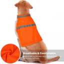 Dog Jacket High Visibility Safety Reflective Dog Vest for Small Medium Large Dogs (Large, Orange)