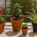 30 Packs Clear Plant Saucers for Indoor Outdoor Use 4/6/8/10/12/14 Inches Heavy Duty Plastic Plant Trays for Planter Bulk Flower Pot Drip Trays to Catch Water, Round Transparent