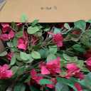 Artificial Bougainvillea Tree -5FT Faux Bougainvillea Tree with Realistic Flowers, Tall Fake Flower Tree for Indoor or Outdoor Decor, Silk Floral Plant for Living Room, Porch, Garden (Pink)