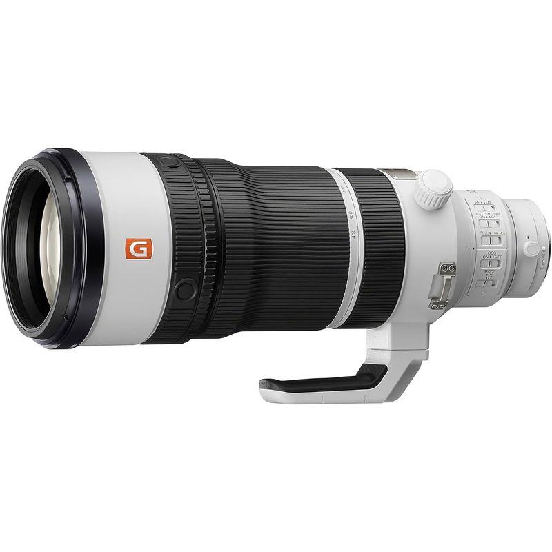 Sony FE 100-400mm F4.5 GM OSS