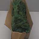 Hananona 9 Ft 2 Pcs Artificial Norfolk Pine Garlands, Realistic Pine Garland, Green Artificial Greenery Garland for Table, Mantle, Wall, Indoor, Outdoor Winter Christmas Decorations (2, 9 FT)