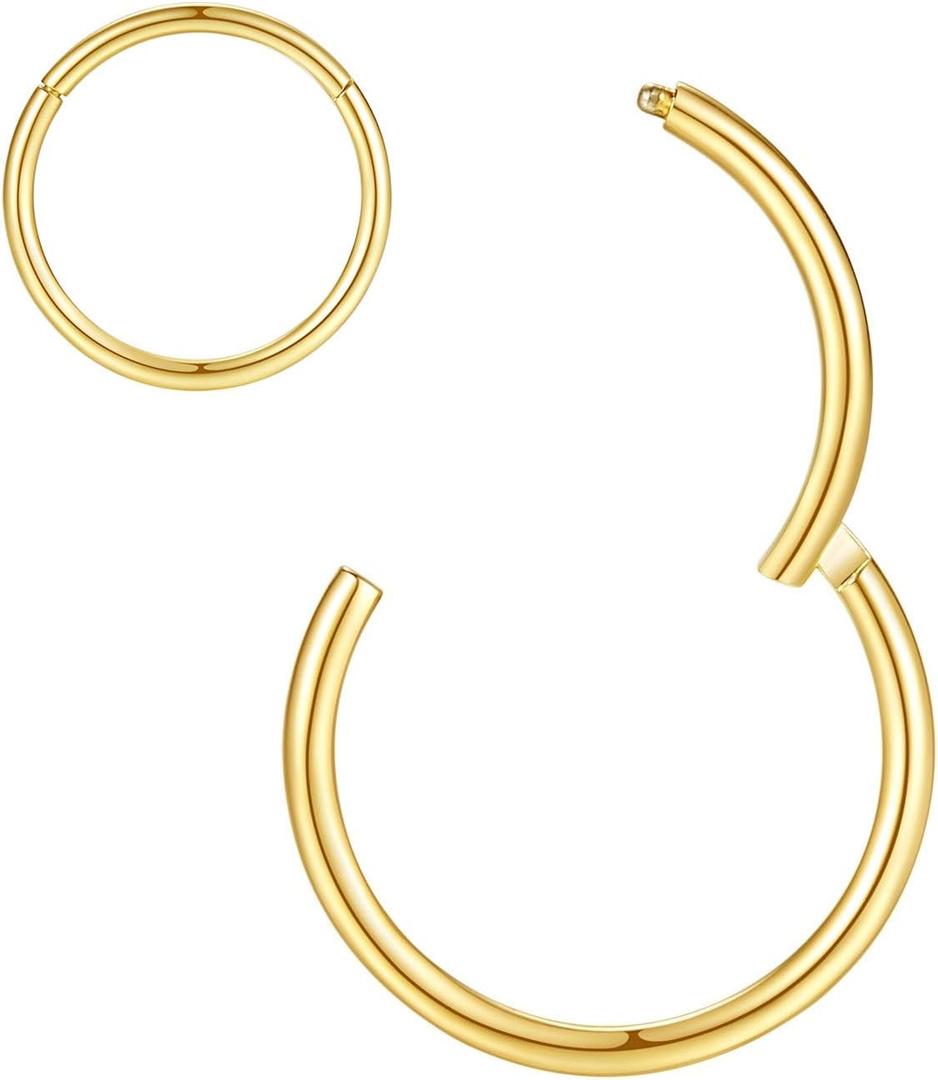 ORANGELOVE Hypoallergenic Nose Rings 20G 18G 16G 14G 12G 10G 8G 316l Surgical Steel Septum Jewelry Hinged Segment Ring Body Piercing Nose Hoop Lip Rings Nose Helix Cartilage Rook Earrings