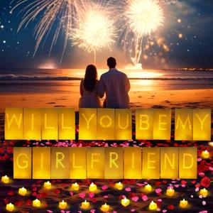 Will You Be My Girlfriend Light Up Letters Luminary Bags, Banner, Romantic Decoration Kit with 30PC Bright LED Candles and 2000PC Fake Rose Petals