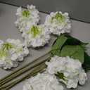 Kimura's Cabin 6pcs White Hydrangea Artificial Flowers Silk Fake Hydrangeas Faux Hydrangea Flowers with Stems for Wedding Bouquets Arrangement Home Table Centerpieces Baby Shower Party Decoration