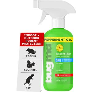 BugMD Peppermint Oil Spray for Rodents - 16oz Mouse Repellent & Rodent Repellent Spray, Natural Mice Repellent with Cinnamon, Clove, and Rosemary Oils - Safe Indoor & Outdoor Use