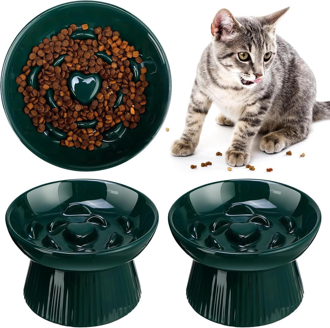 Tioncy 2 Pcs Raised Cat Slow Feeder Bowl Ceramic Elevated Cat Dog Food Bowl No Spill High Edge for Dry Wet Food and Water Easy to Clean, Dishwasher Safe (Dark Green)