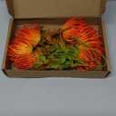 6 PCS Tropical Flowers Artificial UV Resistant Fake Plastic Protea Fake Spider Mum Flower Arrangement for Table Centerpieces Home Kitchen Office Indoor Outdoor Decor