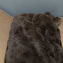 L'AGRATY Faux Rabbit Fur Blanket: 90" x 90" Queen Luxury Soft Fluffy Thick Fur Throw Blanket for Couch Bed Sofa - Cozy Plush Bubble Blankets for Winter: Flannel Fleece Decorative Blanket(Cocoa Brown)