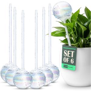 Mission Gallery Clear Plant Watering Globes Set of 6 - Large Self Watering Globes for Indoor & Outdoor Plants - Automatic, Glass Watering Bulbs for Daily Use, Plant Watering Devices