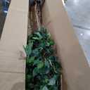 Nearly Natural 5ft Triple Trunk Artificial Ficus Tree with Natural Wood Trunks, Fake Tree for Indoor Home Dcor, Faux Ficus Tree with Black Nursery Pot