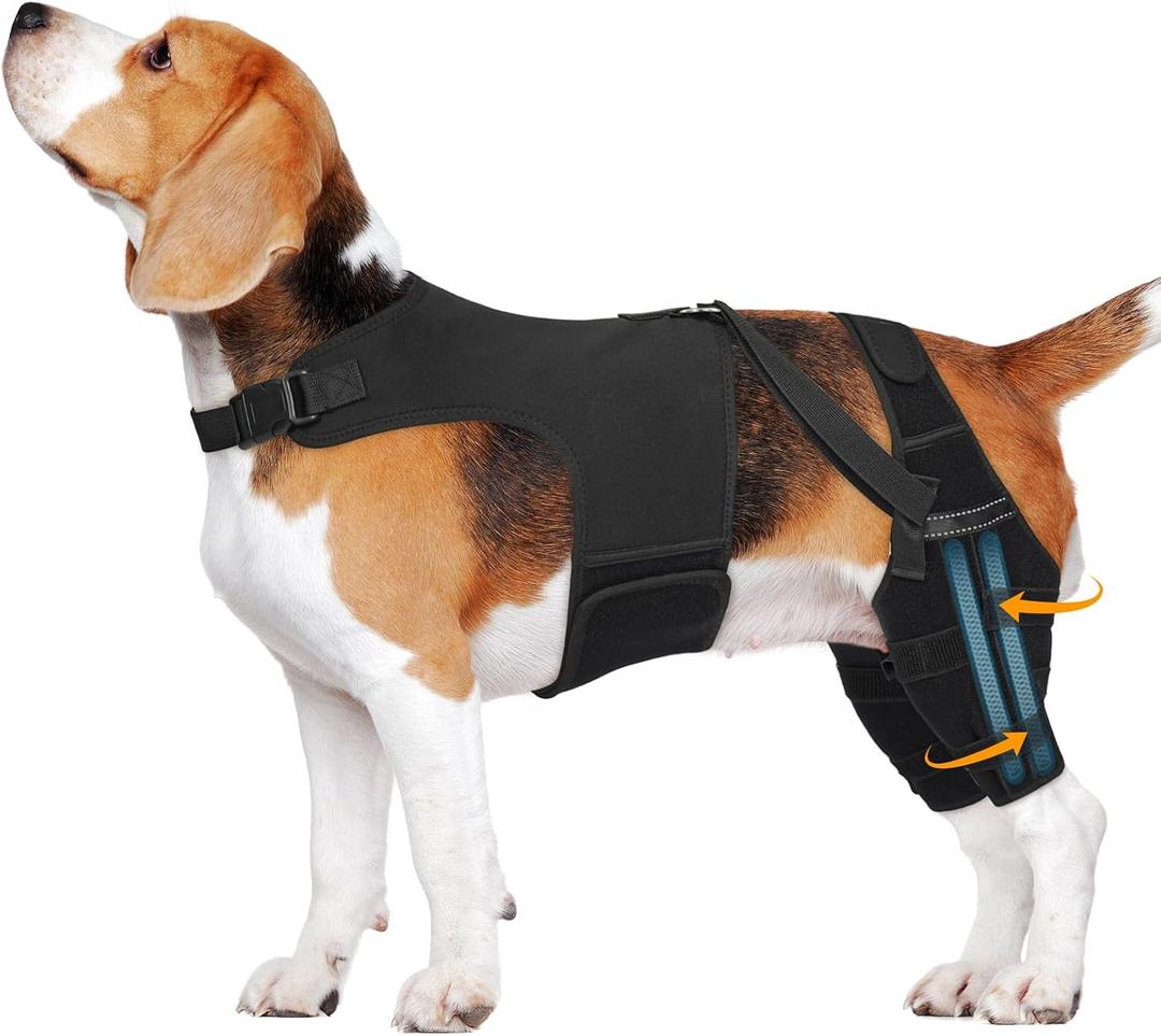 Dog Knee Brace for Torn Acl Hind Leg, Adjustable for Back Leg with 4 Stabilizers, Reduces Pain, Ligament Injuries & Luxating Patella for Small Medium Large Dogs, (Solid Black-M)