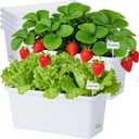 Oliz Window Box Planter 6 Packs, 13.8 Inches Rectangle Flower Pots with Drainage Holes & Trays, Pots for Vegetables, Herbs, Flowers, Garden Windowsill Balcony (White)