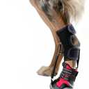 Strap-On Drop Foot Brace (No Knuckling Boot Brace) for Dogs Dog Knee Pads,Corrective Dog Shoes to Safely Lift Toes for Foot Issues, Arthritis, and improving Walking gait in Dogs (L)