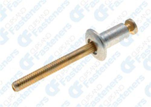 Pack Of 1 Peel Type Rivets 1/4 Diameter Compatible with Ford 388047-S100