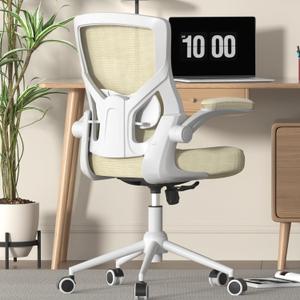 Office Chair, High Back Desk Chair Adjustable Height and Ergonomic Design Home Office Computer Chair Executive Lumbar Support Padded Flip-up Armrest Swivel Task Chair (Beige)