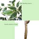 Artificial Ficus Tree 5ft, Faux Plant with White Tall Planter, Fake Ficus Leaves Plants in Pot, Artificial Floor Trees for Home Living Room Office Bedroom Foyer Porch Decor Indoor