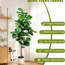 5FT Fiddle Leaf Fig Artificial Tree, Silk Fake Ficus Tree with White Planter, Indoor Faux Floor Plant Tree with Lifelike Trunk and Leaves for Office Living Room Indoor Home Decor