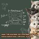 Pet Urns for Cats - Cat Urns for Ashes with Photo Display and Golden Paw Prints, 7.48l x 5.51w x 4.33h