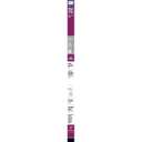 Philips Plug and Play 4Ft (48-inch) Type A T8/T12 Cool White 32-Watt LED Tube Light Bulb (5 Pack)