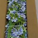 Artificial Flowers 8PCS Silk Flowers with Long Stems, Fake Flowers Bulk Fake Babys Breath, Royal Blue Flowers for Tall Vase Outdoor Garden Wedding Party Home Table (Light Blue, 8PCS)