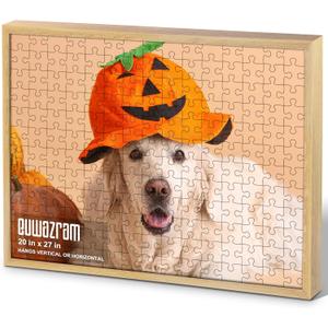Rustic Oak 20x27 Frame - Single Frame, 20 x 27 Poster Frame for Artwork, Puzzles, Photos and Movie Posters Picture Frames