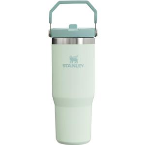 Stanley IceFlow Flip Straw Tumbler with Handle 30 oz | Twist On Lid and Flip Up Straw | Leak Resistant Water Bottle | Insulated Stainless Steel |BPA-Free | Mist