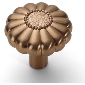 Asidrama 10 Pack Champagne Bronze Kitchen Cabinet Knobs - Dresser & Drawer Knobs - Zinc Finish
