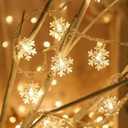 Hamillar Christmas String Light Warm White Light 16.4ft 30 Bulbs Santa Outdoor Decorations (White)