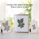 8x10 Picture Frame - Set of 5, Matte Gold 8 x 10 Photo Frame with High-Definition Glass, Modern 8x10 frame for Tabletop or Collage Wall, Perfect Christmas Frame