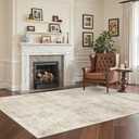 Cochyean Area Rugs 3x5 - Washable Rug for Living Room, Indoor Non-Slip Rug for Bedroom, Stain Resistant Abstract Area Rug, Super Soft Low Pile Rugs, Lightbrown