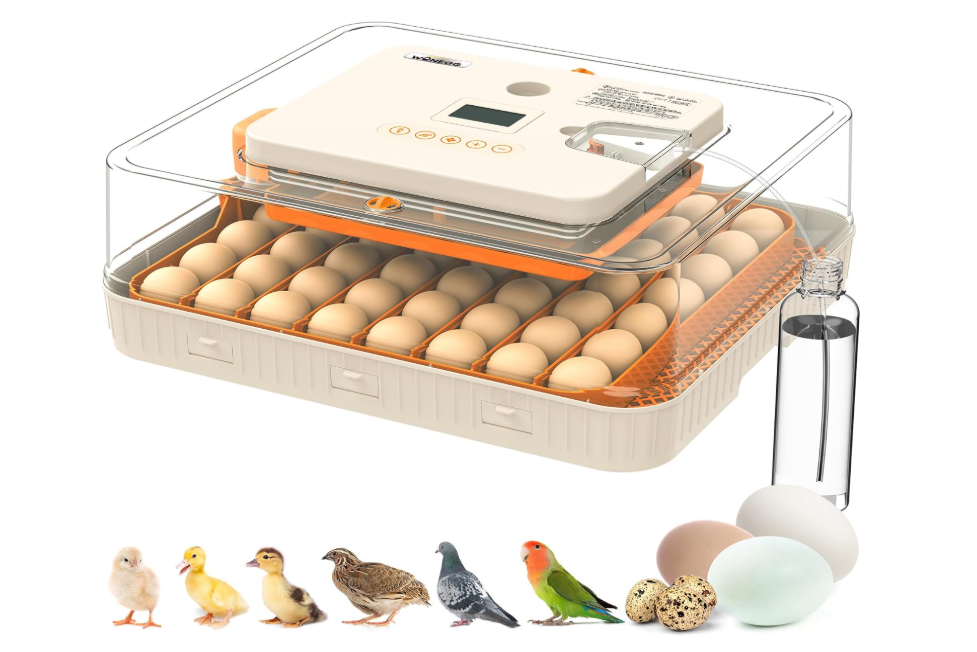 Incubators for Hatching Eggs with Automatic Egg Turning and Humidity Control, 56 Eggs Incubator, Auto Temperature Control, LED Egg Candler, Hatch Day Count, for Chicken, Duck, Goose, Quail, Parrot