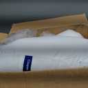 Casper Sleep Essential Pillow 2-Pack, Standard Size Medium Soft Feel, Down-Alternative Fill, Supports Side, Back & Stomach Sleepers