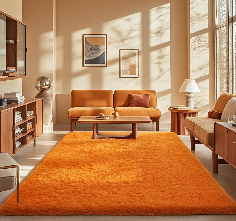 Ophanie Orange Rugs for Living Room Bedroom, 5x8 Fluffy Fuzzy Furry Carpet, Plush Soft Shaggy Bedside Indoor Floor Area Rug for Kids Nursery Home Decor with Over 999 pcs Non-Slip Backing Pattern