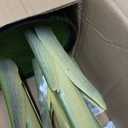 VEVOR Artificial Bird of Paradise Tree, 5 FT Tall Faux Plant, PE Material & Anti-Tip Tilt Protection Low-Maintenance Plant, Lifelike Green Fake Tree for Home Office Warehouse Decor Indoor Outdoor