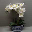 Briful Orchid Artificial Flowers in Blue and White Porcelain Pot 19.7" White Faux Silk Orchid Arrangement Large Fake Orchid Floral Centerpiece for Elegant Home Office Living Room Kitchen Table Decor
