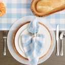 DII Buffalo Check Collection, Classic Farmhouse Cloth Napkin Set, 20x20, Light Blue & White, 6 Piece